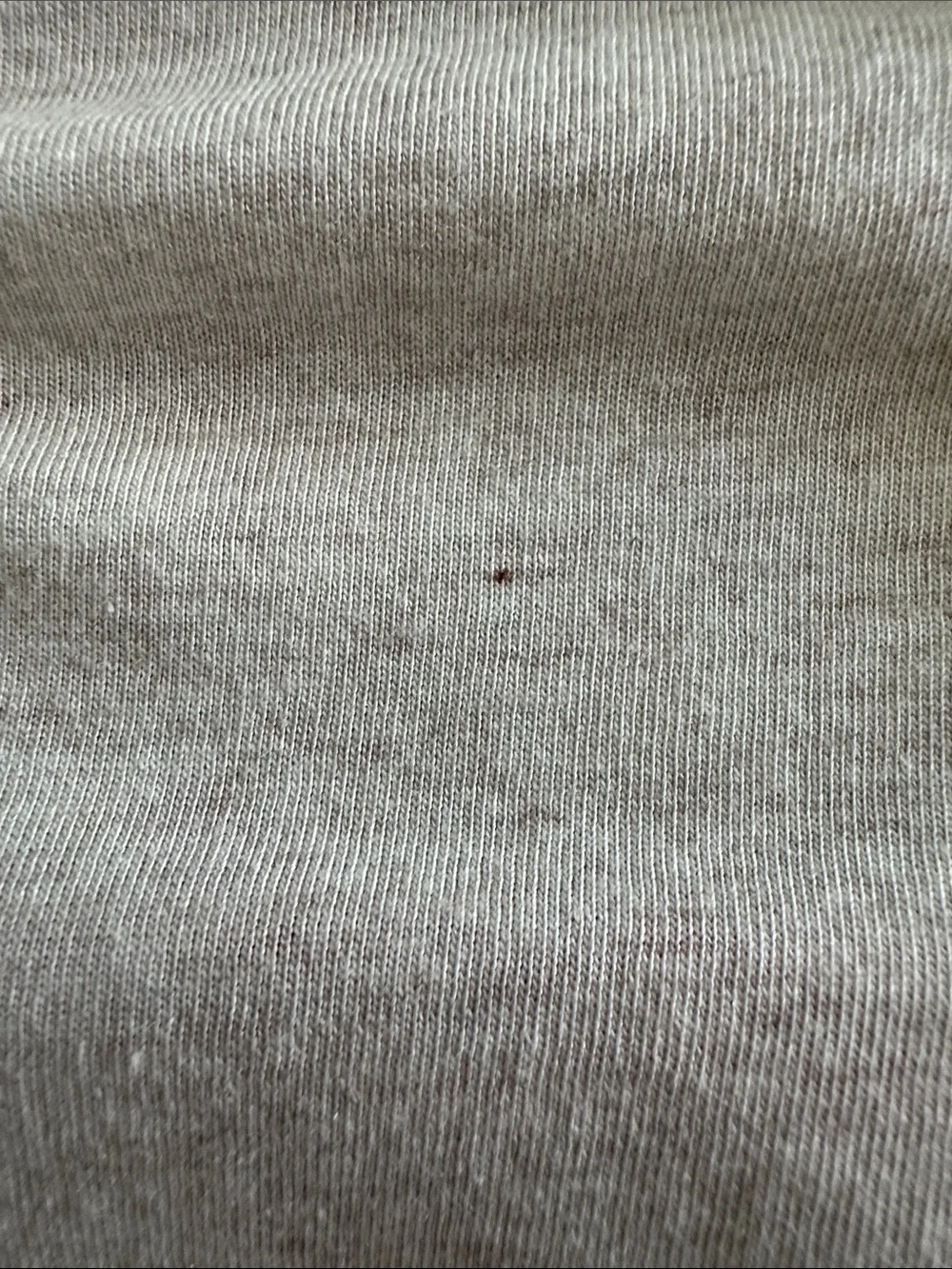 dip Neutral Short Sleeve Crewneck Tee in Oatmeal Heather